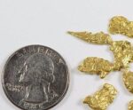 Alaskan-Yukon BC Natural Gold Nugget # 4 mesh 3 grams