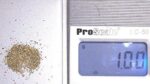 Alaskan Yukon Gold Rush Nuggets 50 Mesh 1 Gram of Super -Super Small Fines - Image 3