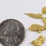 Alaskan-Yukon BC Natural Gold Nugget #4 Mesh 2 Grams