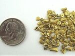 Alaskan Yukon BC Gold Nuggets 4-12 Mesh 10 GRAMS MIXED LOT OF GOLD FLAKES - Image 2
