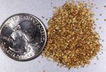 Alaskan Yukon Gold Rush Nuggets #50 Mesh 10 Grams of Super -Super Small Fines