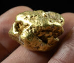 #554 Large Alaskan BC Gold Nugget 43.27 Grams Genuine - Image 3