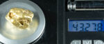 #554 Large Alaskan BC Gold Nugget 43.27 Grams Genuine - Image 4