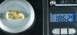 #390 Alaskan BC Natural Gold Nugget 18.62 Grams Genuine - Image 3