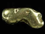 #391 Alaskan BC Natural Gold Nugget 13.80 Grams Genuine