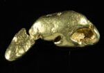 #397 Alaskan BC Natural Gold Nugget 12.73 Grams Genuine
