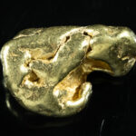 #454 Alaskan BC Natural Gold Nugget 12.28 Grams Genuine