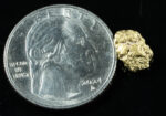 #25 Alaskan BC Natural Gold Nugget 1.33 Grams Genuine - Image 2