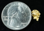 #39 Alaskan BC Natural Gold Nugget 1.33 Grams Genuine - Image 2