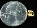 #66 Alaskan BC Natural Gold Nugget .88 Grams Genuine - Image 2