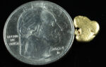 #2 Alaskan BC Natural Gold Nugget 1.38 Grams Genuine - Image 2