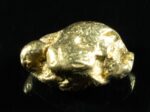 #20 Alaskan BC Natural Gold Nugget 1.53 Grams Genuine