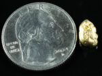 #20 Alaskan BC Natural Gold Nugget 1.53 Grams Genuine - Image 2