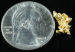 #112 Alaskan BC Natural Gold Nugget 1.22 Grams Genuine - Image 2
