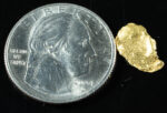 #4 Alaskan BC Leaf Exotic Shaped Gold Nugget .36 Grams - Image 2