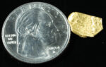 #5 Alaskan BC Leaf Exotic Shaped Gold Nugget .72 Grams - Image 2