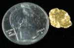 #7 Alaskan BC Leaf Exotic Shaped Gold Nugget 1.04 Grams - Image 2