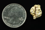 QN-10 "Alaskan BC Gold Nuggets with Quartz" Genuine 3.37 Grams - Image 2