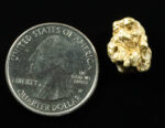 QN-12 "Alaskan BC Gold Nuggets with Quartz" Genuine 3.34 Grams - Image 2