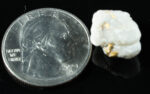 QN-46 "Alaskan BC Gold Nuggets with Quartz" Genuine 4.02 Grams - Image 2