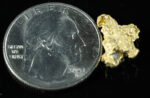 QN-54 "Alaskan BC Gold Nuggets with Quartz" Genuine 2.93 Grams - Image 2