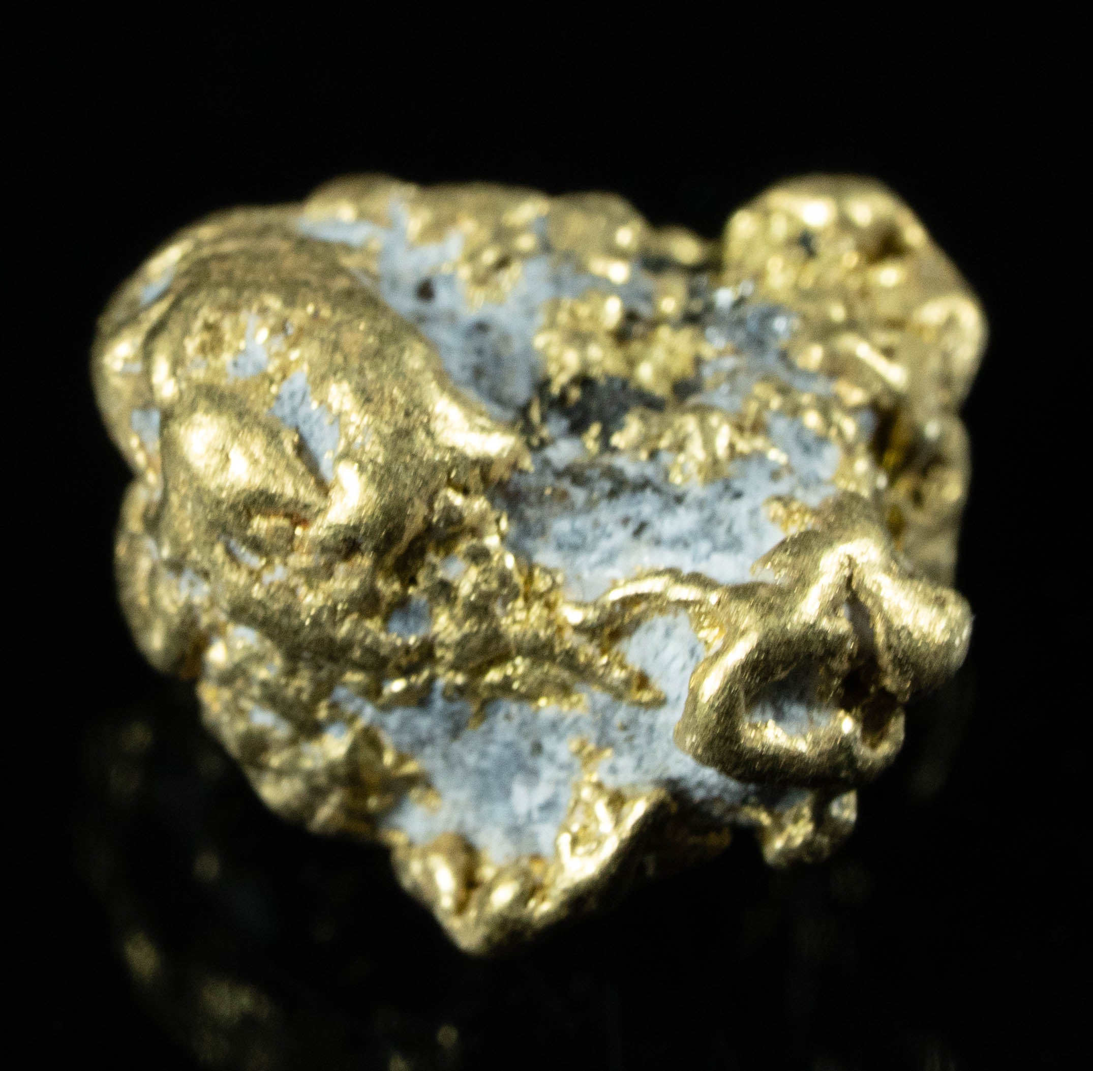 DSC03697.jpg QN-55 "Alaskan BC Gold Nuggets with Quartz" Genuine 3.25 Grams - Image 1