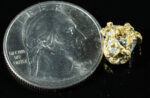QN-55 "Alaskan BC Gold Nuggets with Quartz" Genuine 3.25 Grams - Image 2
