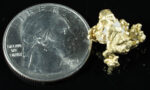 QN-60 "Alaskan BC Gold Nuggets with Quartz" Genuine 3.99 Grams - Image 2