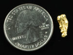 L-44 Alaskan BC Dendritic Exotic Shaped Gold Nugget "Special Collection" .49 Grams - Image 2