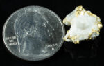 #K-7 Crystalline Gold Nugget Specimen 3.97 Grams Oriental Mine Sierra County California Rare - Image 2