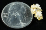 #K-9 Crystalline Gold Nugget Specimen 2.11 Grams Oriental Mine Sierra County California Rare - Image 2