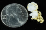 #OM-151 Crystalline Gold Nugget Specimen 1.50 Grams Oriental Mine Sierra County California Rare - Image 2