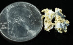#OM-154 Crystalline Gold Nugget Specimen 1.62 Grams Oriental Mine Sierra County California Rare - Image 2
