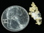 #OM-161 Crystalline Gold Nugget Specimen 2.85 Grams Oriental Mine Sierra County California Rare - Image 2