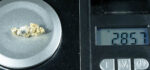#OM-161 Crystalline Gold Nugget Specimen 2.85 Grams Oriental Mine Sierra County California Rare - Image 3