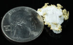 #OM-175 Crystalline Gold Nugget Specimen 3.10 Grams Oriental Mine Sierra County California Rare - Image 2