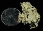 #OM-176 Crystalline Gold Nugget Specimen 7.08 Grams Oriental Mine Sierra County California Rare - Image 2