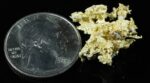 #OM-179 Crystalline Gold Nugget Specimen 3.70 Grams Oriental Mine Sierra County California Rare - Image 2