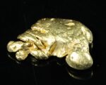 #60 Alaskan BC Natural Gold Nugget 1.20 Grams Genuine