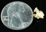 #50 Alaskan BC Natural Gold Nugget 1.30 Grams Genuine - Image 2