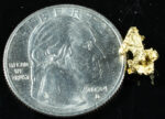 #87 Alaskan BC Natural Gold Nugget .84 Grams Genuine - Image 2