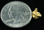 #6 Alaskan BC Natural Gold Nugget .75 Grams Genuine - Image 2