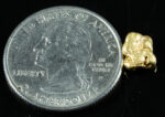 #42 Alaskan BC Natural Gold Nugget 1.19 Grams Genuine - Image 2