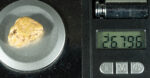#73 Sonora Mexico Natural Gold Nugget 26.79 Grams Genuine - Image 4