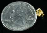 #114 Alaskan BC Natural Gold Nugget .63 Grams Genuine - Image 2