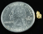 #148 Alaskan BC Natural Gold Nugget .38 Grams Genuine - Image 2