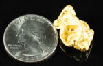 #1091 Natural Gold Nugget Australian 17.11 Grams Genuine - Image 2