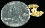 #98 Alaskan BC Natural Gold Nugget 1.30 Grams Genuine - Image 2