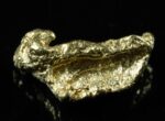 #177 Alaskan BC Natural Gold Nugget 1.68 Grams Genuine