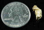 #177 Alaskan BC Natural Gold Nugget 1.68 Grams Genuine - Image 2